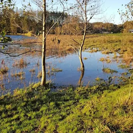 4 Star In * 아벤라